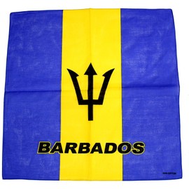 Zac's Alter Ego Flag Bandana, Neckerchief 100% Cotton