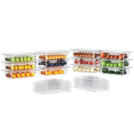 HNEDSEN 12 Pack Plastic Food Pan with Lid 1/4 Size 2.5 Inch Deep Restaurant Clear Food Storage Containers Polycarbonate Commercial Hotel Pans for Fruits Vegetables Beans Corns (12 PCS, 2.5'' Deep)