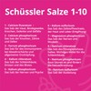 Schüssler Salts Treatment Beauty Skin & Hair 1 + 4