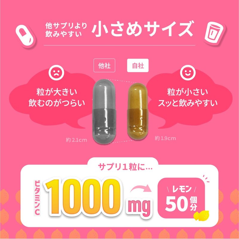 リポソーム ビタミンC 高吸収 持続型 VC リポソーム プラス 1ヶ月分 1000 mg