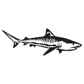 Express Yourself Products Tiger Shark (Black - Image Facing as Shown - Large) Decal Sticker - Saltwater Fish Collection