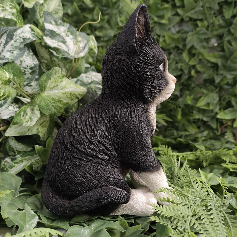 Pet Pals Kitten Black and White by Vivid Arts