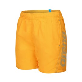 ARENA Boys' Fundamentals Logo Jr Boxer R Swim Trunks (Pack of 1), Parrot-turquoise, 164