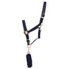 Y-H HY Rose Gold Lead Rope & Head Collar Full