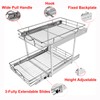 Sikarou Pull Out Cabinet Organizer 14" W x 21" D