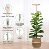 LORDEM Bamboo Grow Light, Full Spectrum LED Plant Grow Light,
