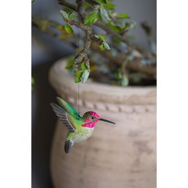 WILDLIFEGARDEN Wildlife Garden WG4675 DecoBird Annakolibri - Set of 2, Hand-Carved Decorative Wooden Birds