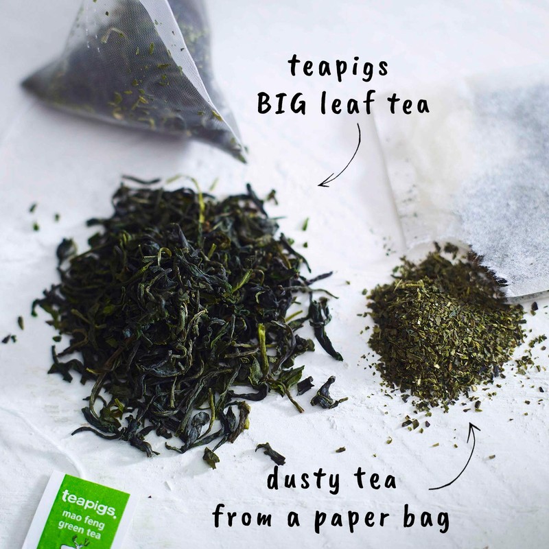 Teapigs Mao Feng Green Tea Bags Made With Whole Leaves