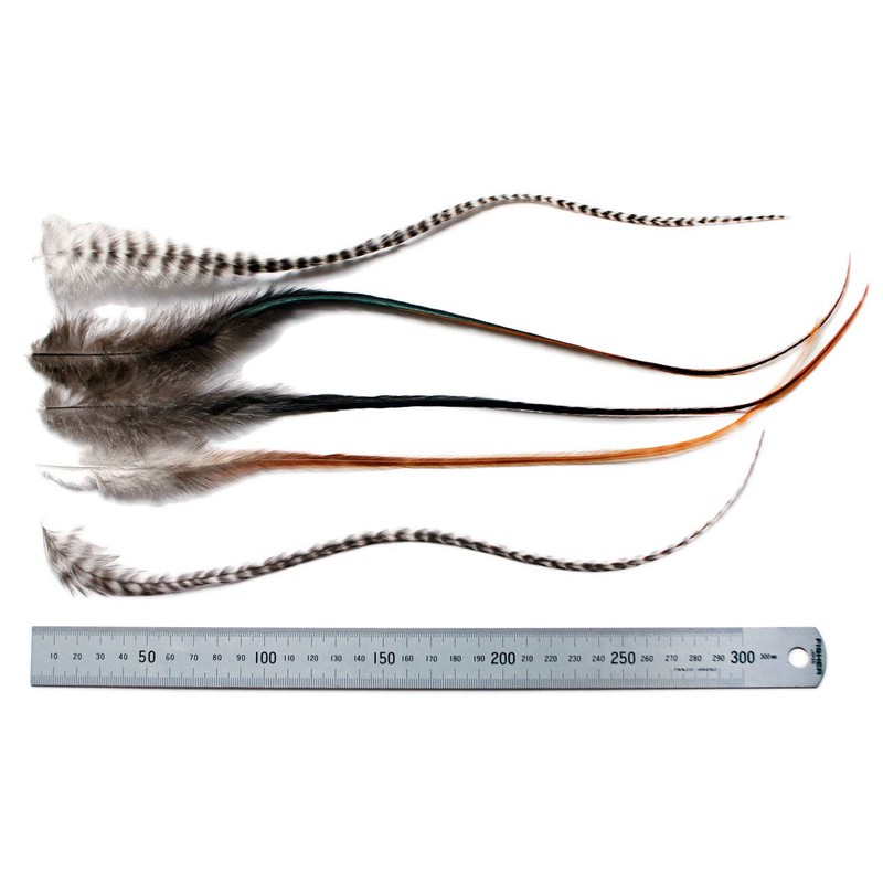 5 Fluffy Super Long RARE! 13-15+ INCH (33-38+ CM) Real