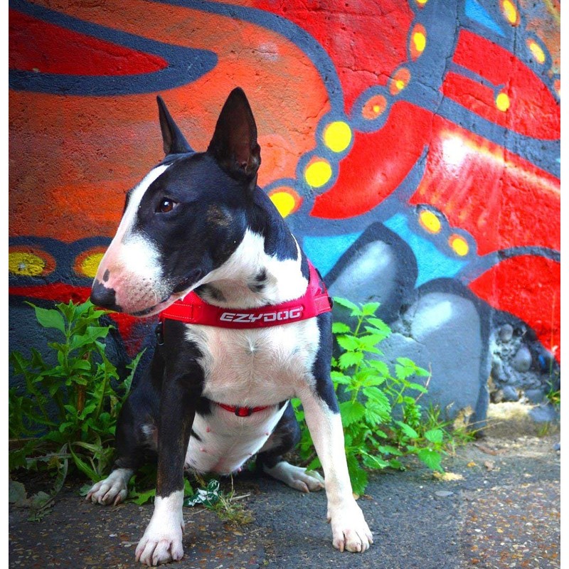 EzyDog Quick Fit Dog Harness - Premium Padded No-Pull Harness,