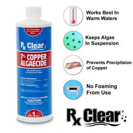 Rx Clear 7% Copper Algaecide | Kills and Prevents Algae for In-Ground and Above Ground Swimming Pools | Safe Formula for Swimmers | One Quart Bottles | 2 Pack