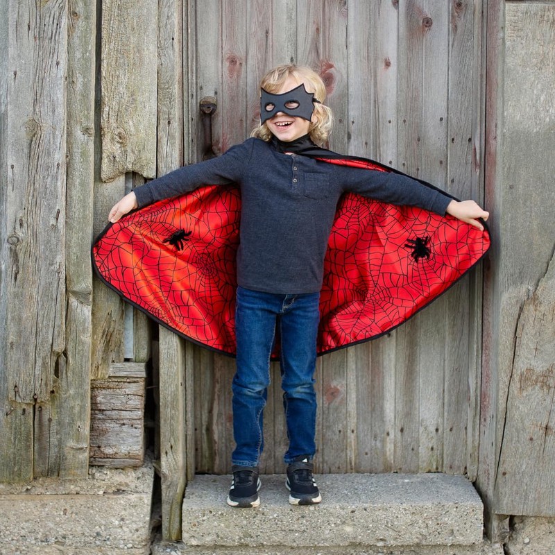 Boy's Reversible Spider & Bat Cape