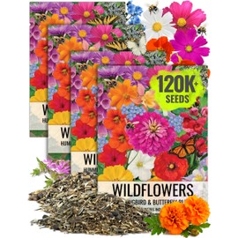 Seed Needs Bulk Wildflower Seeds Hummingbird & Butterfly Seed Mix | 1/2 Pound Total No Filler 23 Varieties Garden Seeds Annual & Perennial Species | Pollinator Friendly Flowering Seed