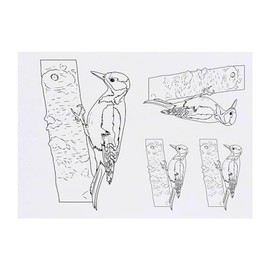 4 x 'Woodpecker On Tree' Temporary Tattoos - Water Resistant, Skin-Safe, Non-Toxic Transfers, Mixed Sizes (TO00072222)