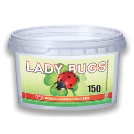 150 Live Ladybugs - Hippodamia Convergens - Plastic Container for Moth - Guaranteed Live Delivery
