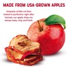 Simple Slices Gourmet Nut Baked Apple Chips (Red Apple, 0.75