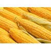 Food to Live Organic Old Fashioned Cornmeal Coarse, 12 Ounces
