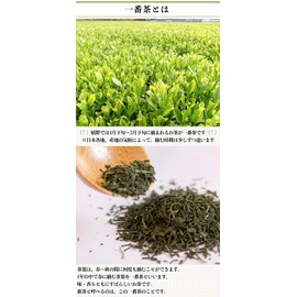 (2024 New Tea) Ureshino Tea Saemidori (3.5 oz (100 g) x 1 bottle), "Asatsuyu, also known as Natural Gyokuro" and "Green Tea Ace Variety, Yabukita"