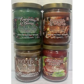 Smoke Odor Exterminator 13 oz Jar Candle, Evergreen & Berries, Set of 4 Candles Includes Evergreen & Berries, Baked, Pumpkin &Waffles, Cinnamon Apple.