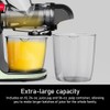 Slow Masticating Cold Press Juicer Machines for Fruit Vegetable, Juice