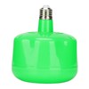 E27 Cultivation Heating Lamp 300W Chicken Coop Heat Lighting Tool