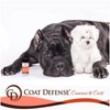COAT DEFENSE Preventative Powder | Made in USA | 3.5oz
