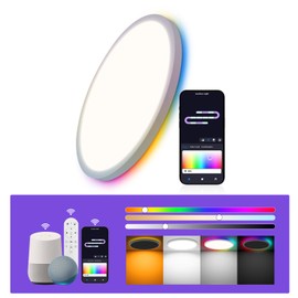 1 Pack 12 Inch RGB LED Flush Mount Smart Ceiling Light with Night Light 2700K, 24W 2400LM Ultra-Slim Ceiling Light Fixture with Remote, 16 Million DIY Colors, Compatible with Alexa/Google Assistant
