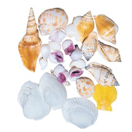 東京堂 ドライフラワー シェルミックス 小 (150g入り) FD005601