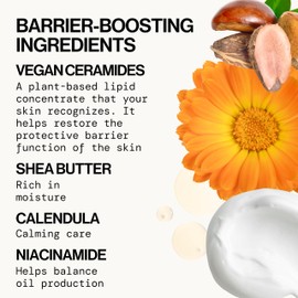 Pacifica Face Cream - Vegan Ceramide Barrier Cream w/Niacinamide & Shea Butter - Hydrating Daily Face Moisturizer Fragrance Free for Sensitive Skin, Vegan, Clean Beauty Allergy & Dermatologist Tested