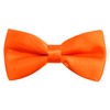 Alizeal Pre-tied Boy's Bow Tie Fancy Plain Adjustable Bow ties,