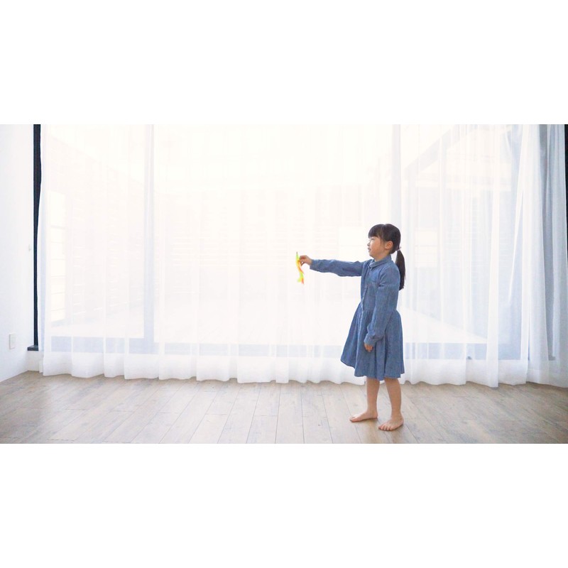 Boomerang airplane Looper Looper (2 aircraft entering)