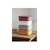 아르딘 Ardin Ciero Color Airtight Container Rectangular 900ml