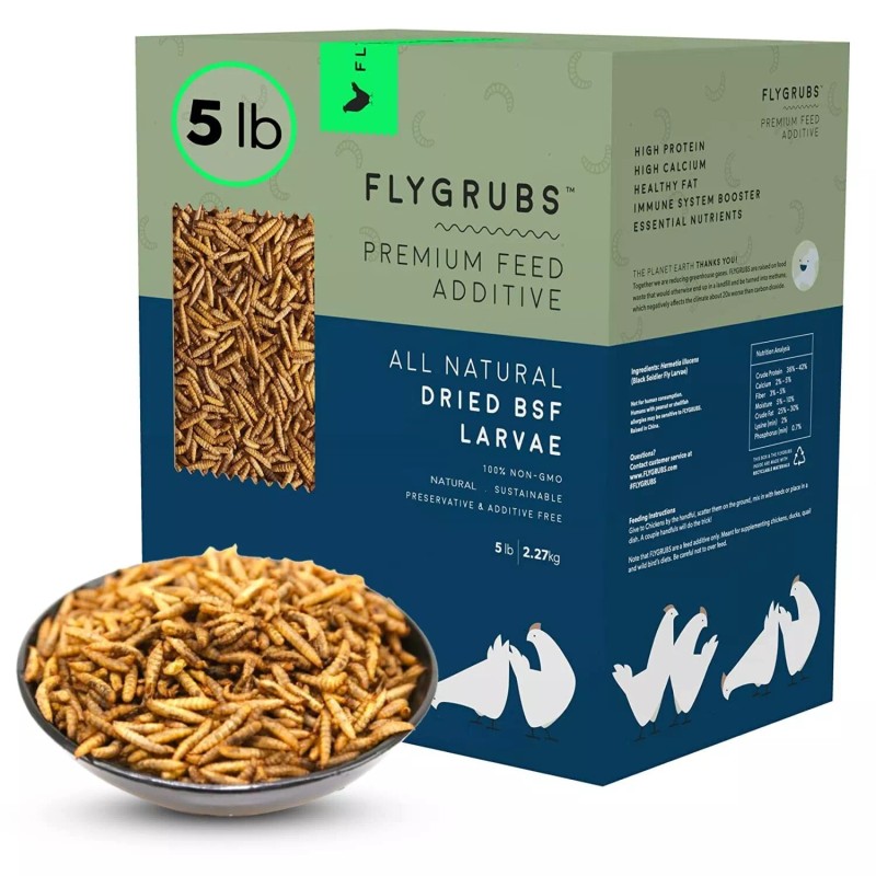 FLYGRUBS 5 lb Dried Black Soldier Fly Larvae - High