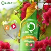 Ajolotius Jarabe Con Miel Extractos Herbales 250ml