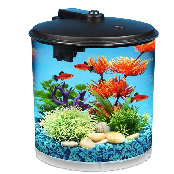 Koller Products AquaView 2-Gallon Aquarium Starter Kit with 7 Colors LED Light and Power Filter, Ideal for a Variety of Tropical Fish