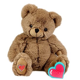 My Baby's Heartbeat Bear Recordable Stuffed Animals 20 sec Heart Voice Recorder for Ultrasounds and Sweet Messages Playback, Perfect Gender Reveal for Moms to Be, Lil Cocoa Bear
