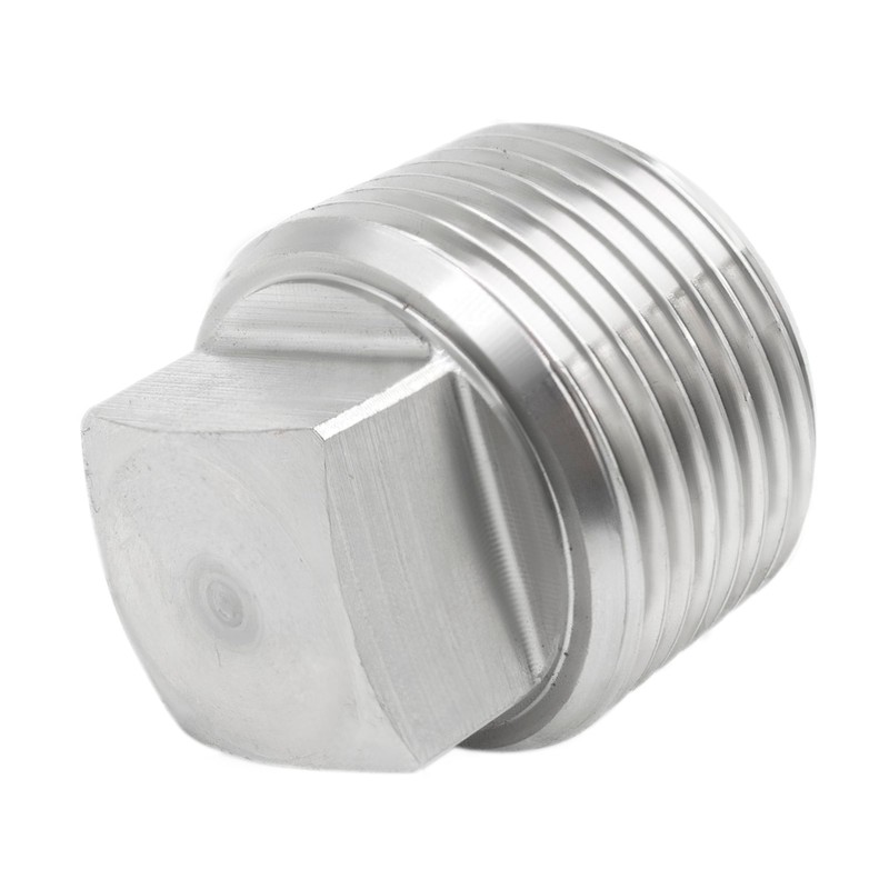 Goldpea 2PCS Stainless Steel 316 Pipe Plug Outer Solid Square