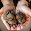 2 x Black Truffle Salt, Hand-Harvested Sea Salt Flakes Infused