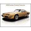 1979 Pontiac Firebird Trans Am New Metal Sign: Beautiful Restoration!