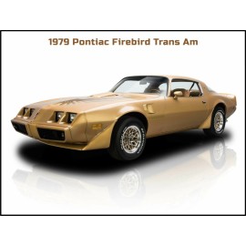 1979 Pontiac Firebird Trans Am New Metal Sign: Beautiful Restoration!