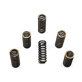 EBC Clutch Spring Kit CSK045