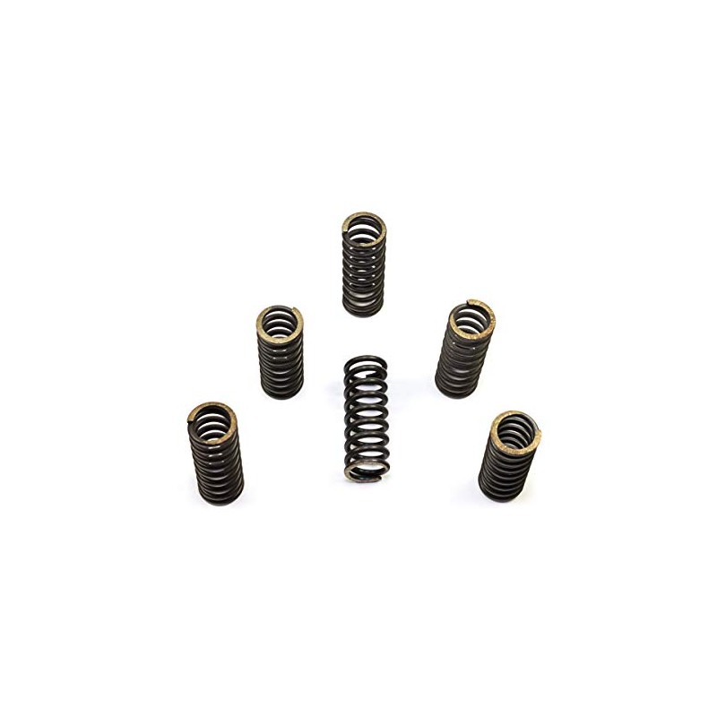 EBC Clutch Spring Kit CSK045