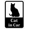 Cat in Car "Cat" Car Sticker (Magnet) s12