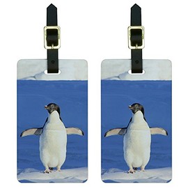 Penguin - Funny Bird Luggage Tags Suitcase Carry-On ID Set of 2