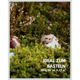 Plate Moss Long Preserved Natural Green Decorative Wall Moss Panels Durable DIY Moss Picture Make Yourself 300 g Natural Green Moss Mat Living in Green