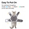 pangdi Cat Harness and Leash Escape Proof Kitten Harness Cat