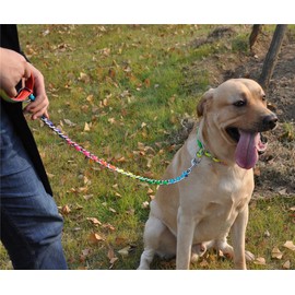 JWPC Rainbow Color Chain Chrome Plated Metal Dog Leash Dog Chain with Padded Handle,4mm 100cm