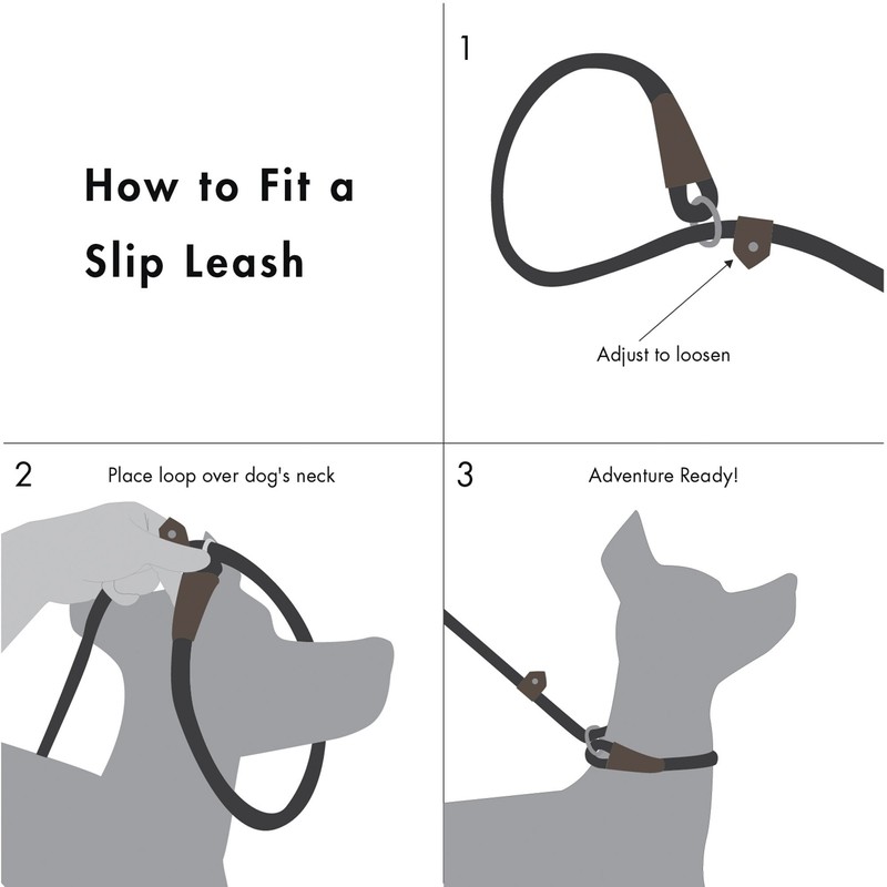 Friends Forever Extremely Durable Dog Rope Leash, Premium Quality Training