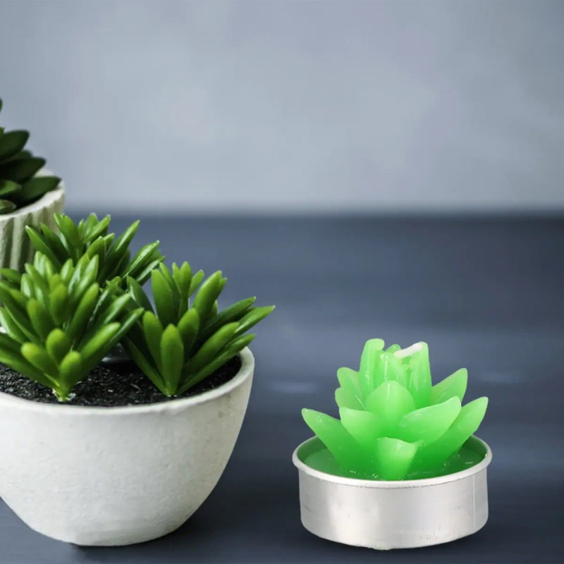 Vela Perfumada Con Diseño De Cactus En Maceta, 24 Piezas