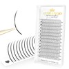 CoMango Premade Spikes Lashes Extensions Wispy Wet Fairy Lash C/D Curly Mix 8-15mm Natural Black 0.07 Thickness Spiky Eyelash Extensions 240 Spikes Lashes Fan (Black, 0.07-D-Mix16-18mm)